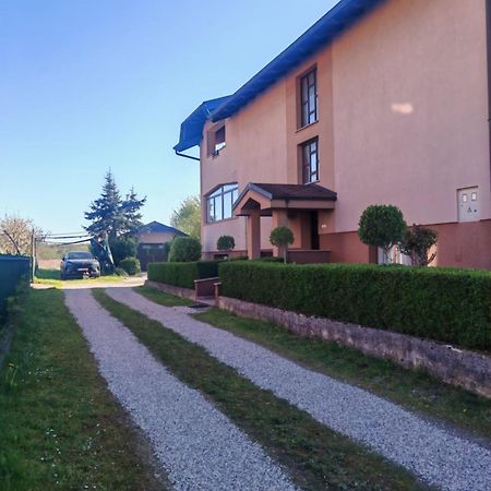 Apartman Kristian Zagreb Airport Velika Gorica Buitenkant foto